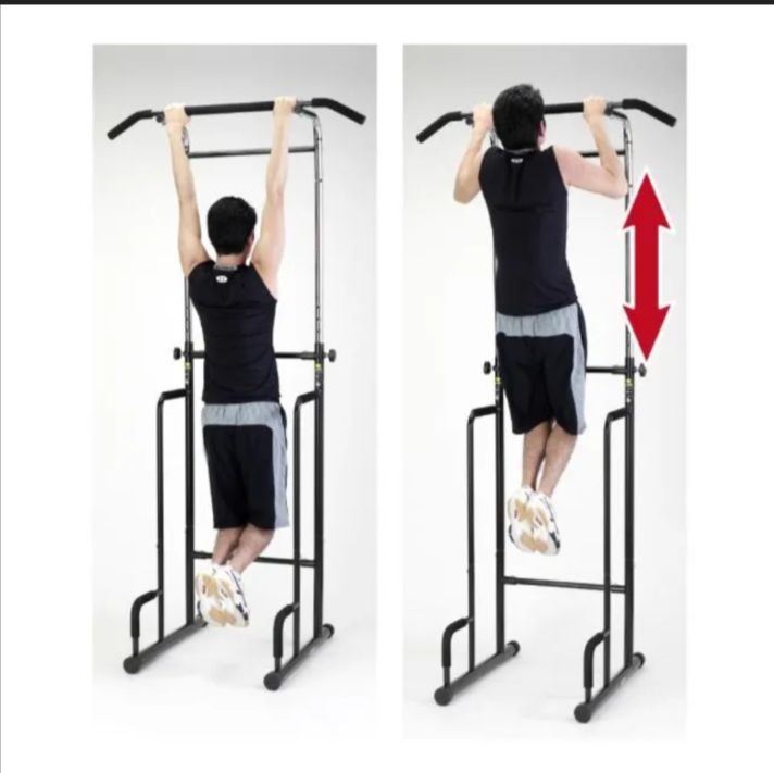 ALINCO アルインコ 懸垂マシン EX 900 TB 懸垂運動 ぶらさがり運動 ぶらさがり健康器 トレーニング エクササイズ ウエイトトレーニング