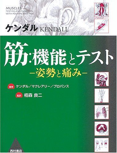 筋:機能とテスト: 姿勢と痛み