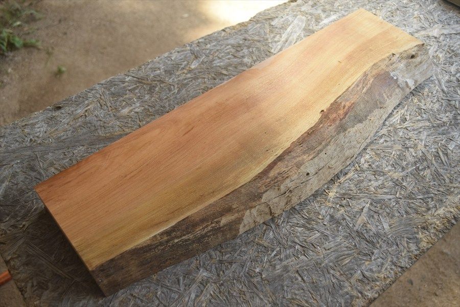 sakura.ページ Custom Sakura 'Black Cherry Blossom' Japan Sunstrip – stickyart