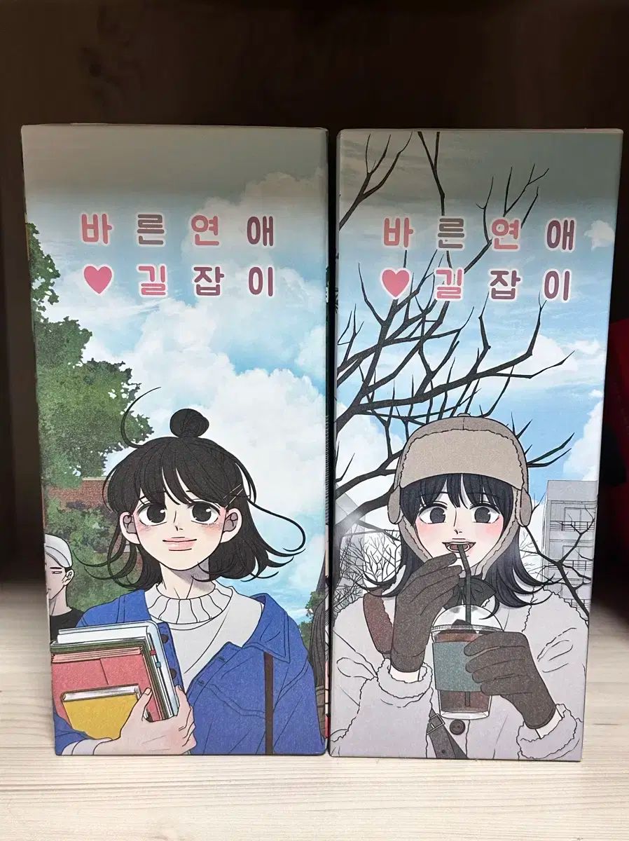 바른 연애 길잡이 ウェブトゥーン 単行本 セット ブックケース 全巻 漫画