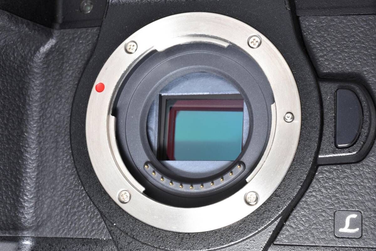  上品 パナソニック Panasonic LUMIX DMC G 8 ボディ ♯1330 デジタル一眼レフ デジタルカメラ