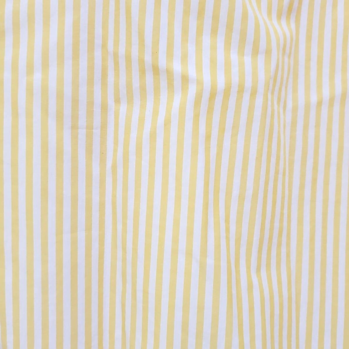 サイズF レディース