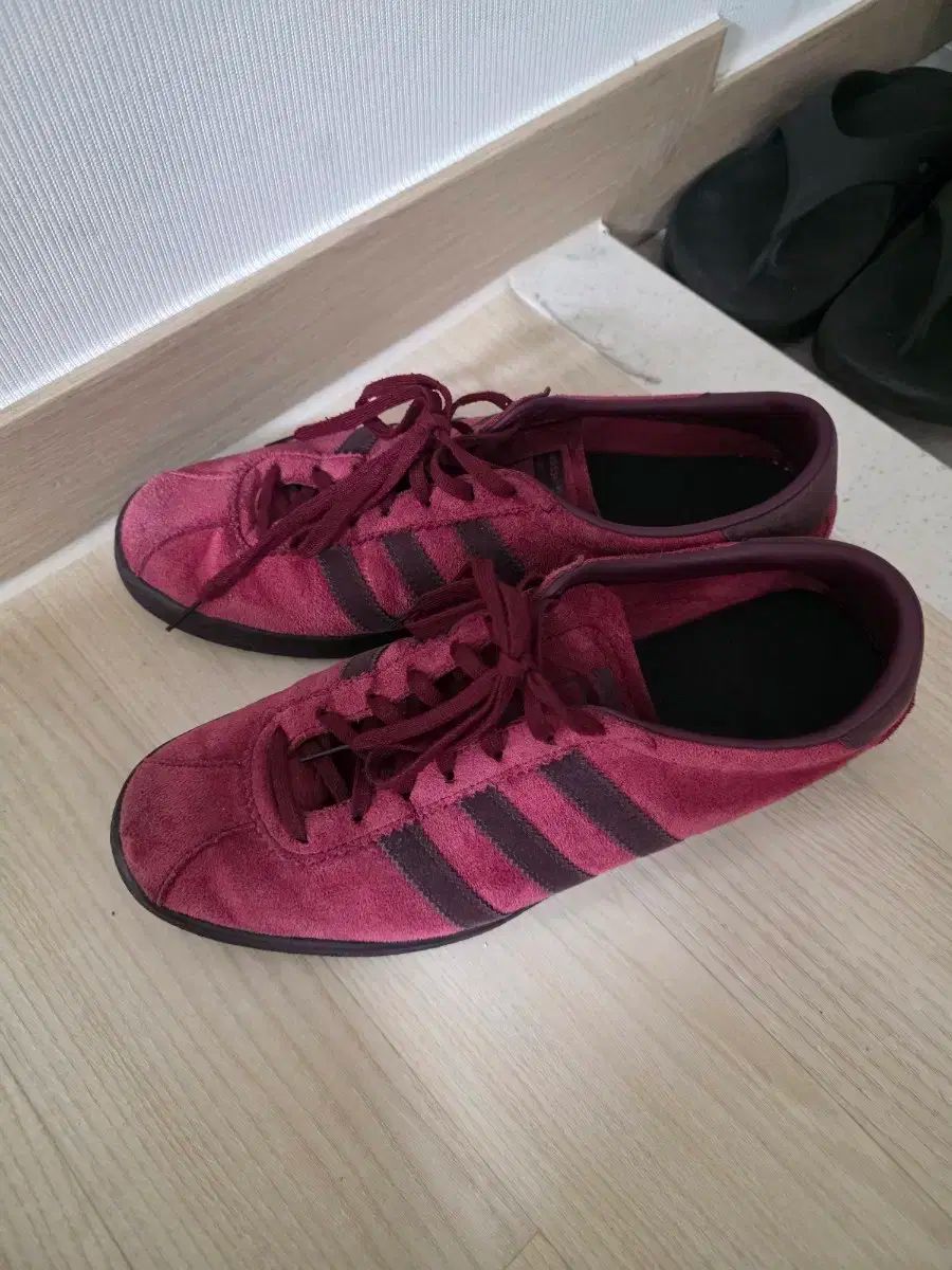 アディダス タバコ バーガンディ 285
