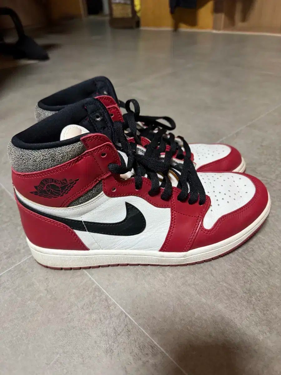 ジョーダン 1 シカゴ 10 d 2025