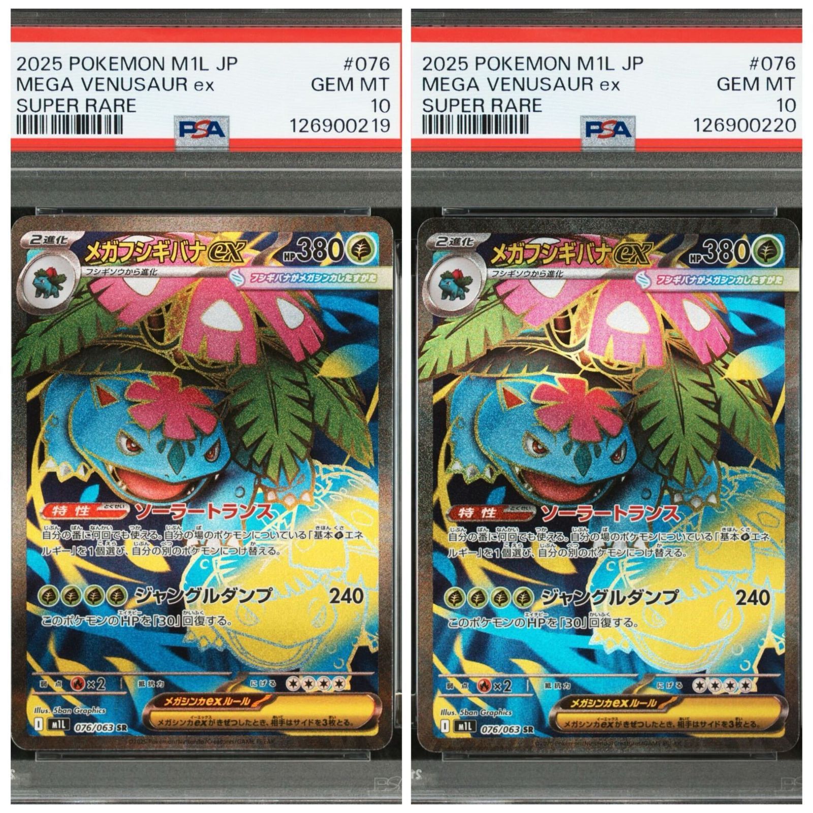 PSA10 メガフシギバナ SR SAR 2連番 PSA10】メガフシギバナ ex SR