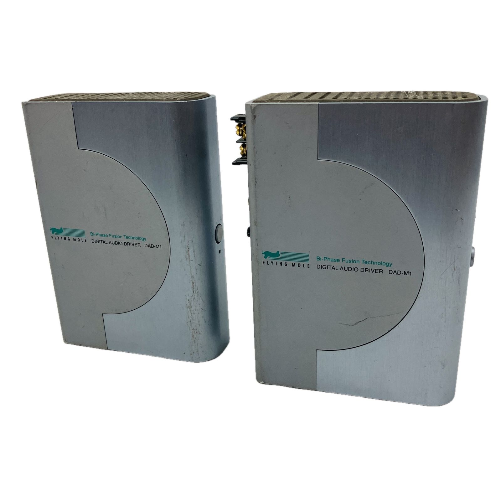 FLYING MOLE DAD-M1 デジタル パワーアンプ ペア 音響機器 フライングモール C10596003