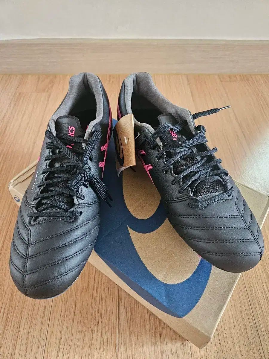 アシックス ds light x fly pro 250