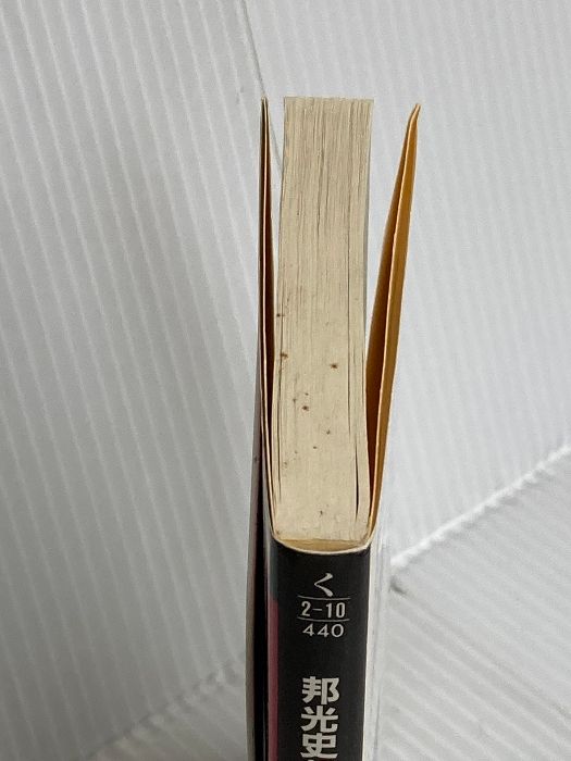 異端の殺し屋 光文社文庫