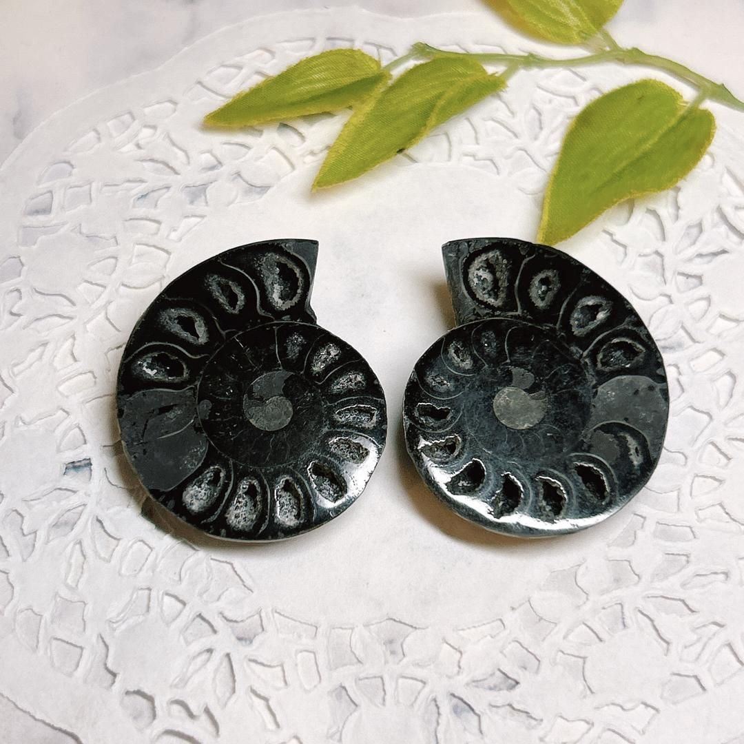 E16586】ブラックアンモナイト アンモナイト 黒い マダガスカル 赤鉄鉱