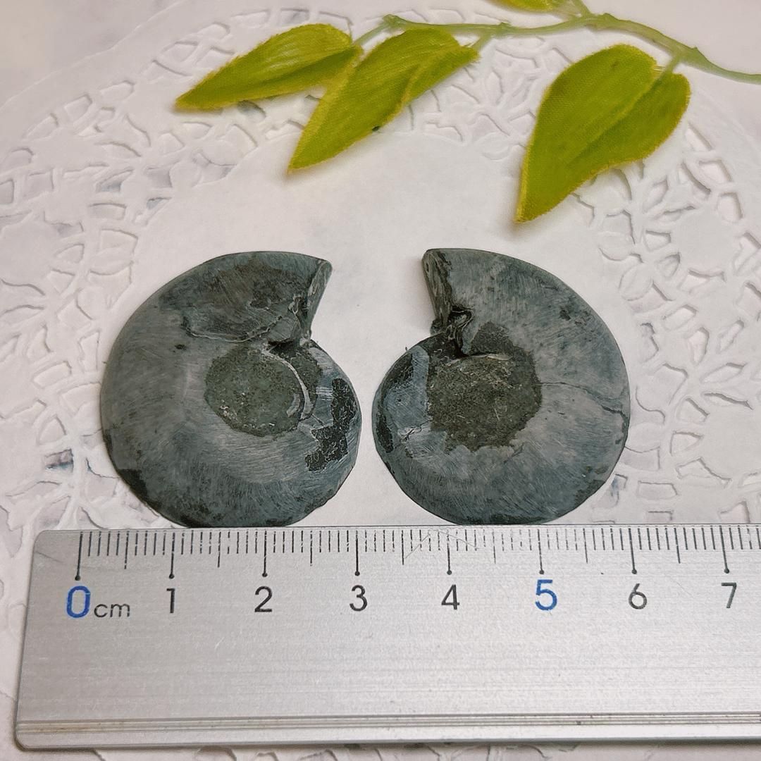 E16586】ブラックアンモナイト アンモナイト 黒い マダガスカル 赤鉄鉱