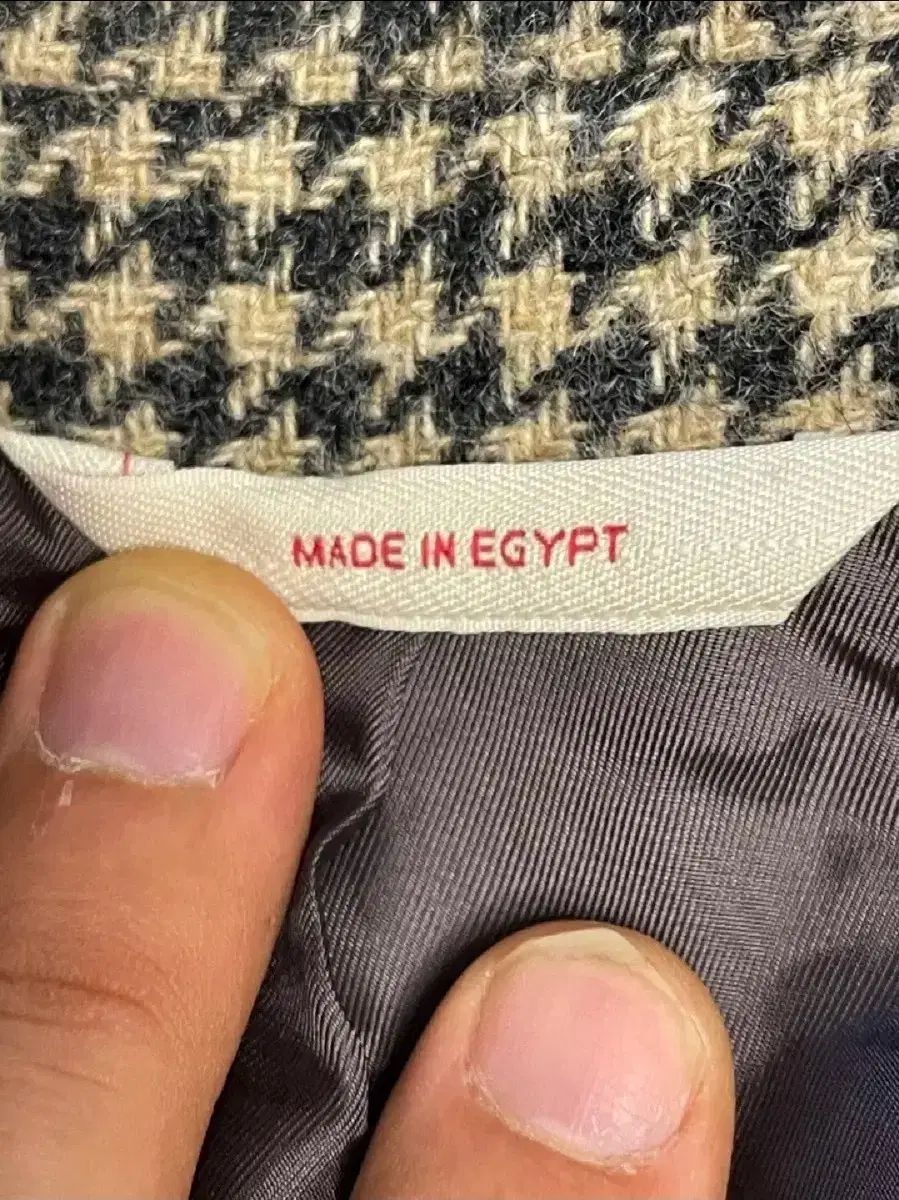 アブラハム ムーン