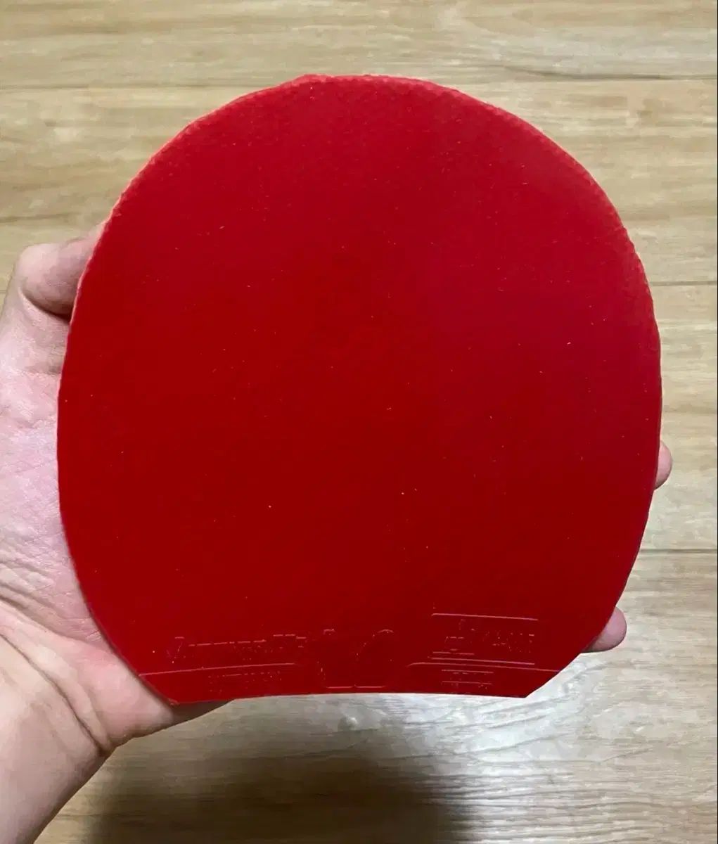 バタフライ ディグニクス 09c 赤色 黒色