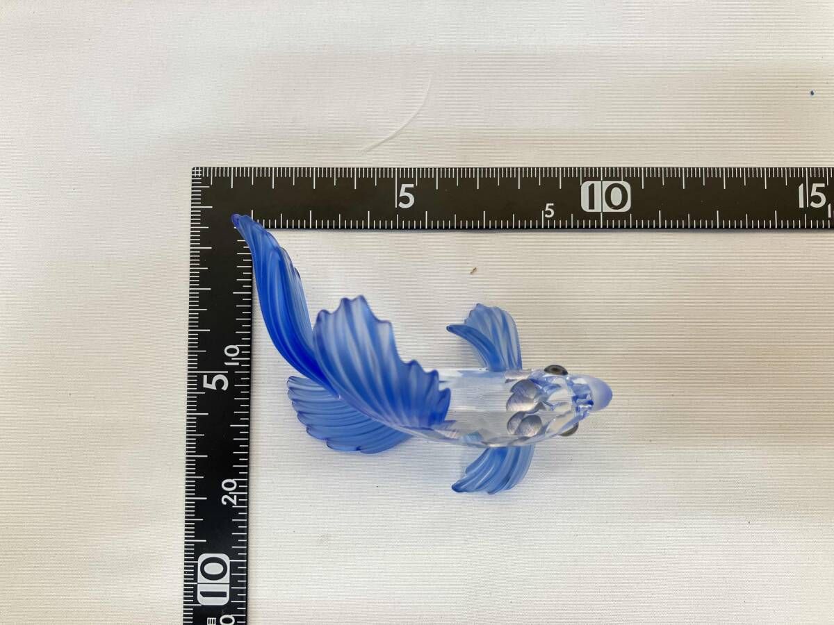 SWAROVSKI スワロフスキー ファイティングフィッシュ ブルー