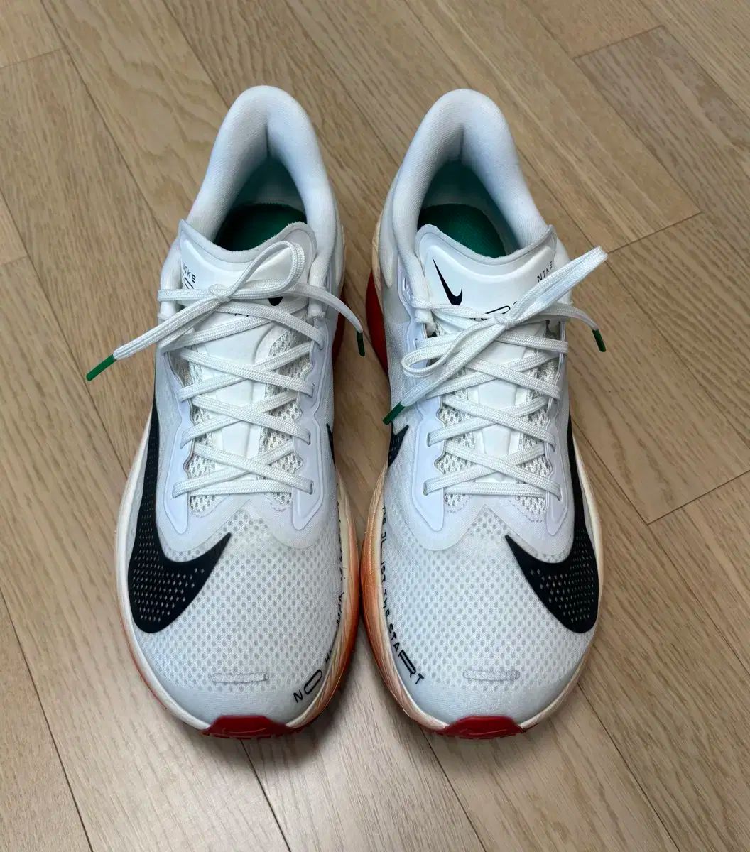 ナイキ ランニングシューズ ズームフライ6 エリウッド キプチョゲ 275