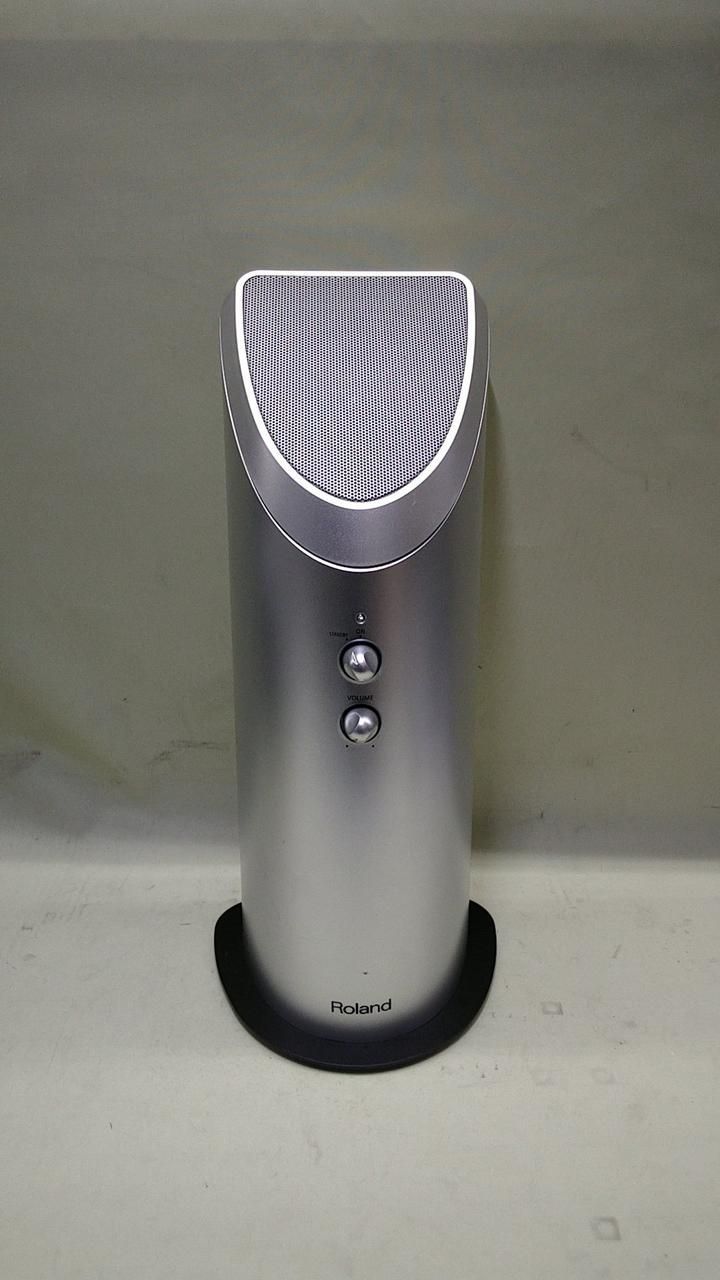 ROLAND モニタースピーカー PM 01 Monitor Speaker