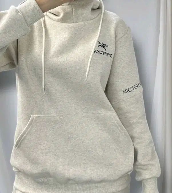 ARC TERYX アークテリクス 起毛 フードTシャツ