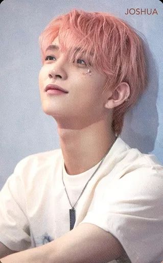 中古】コレクションカード(男性) SEVENTEEN/JOSHUA(ジョシュア)/背景青