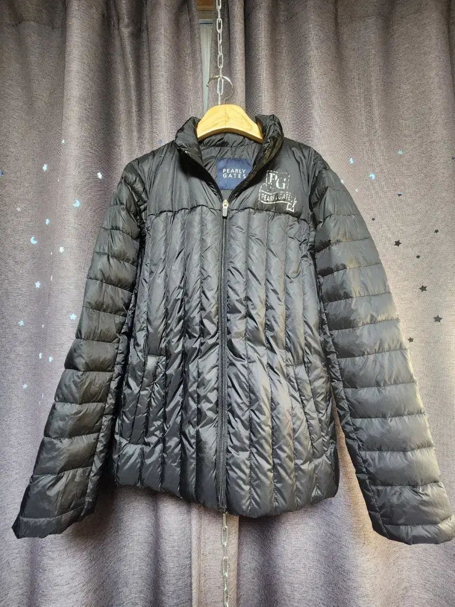 フェアリーゲイツ レディース ゴルフ ブラック グース軽量ダウン -1-55