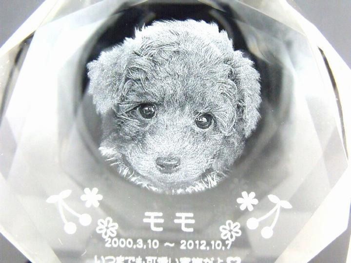 ペット位牌 位牌 クリスタル位牌 星型 遺影 モダン位牌 ペット仏具 モダン仏具 手元供養 犬 猫 ペット供養 ペット用仏具 メモリアル用品 ペット用品
