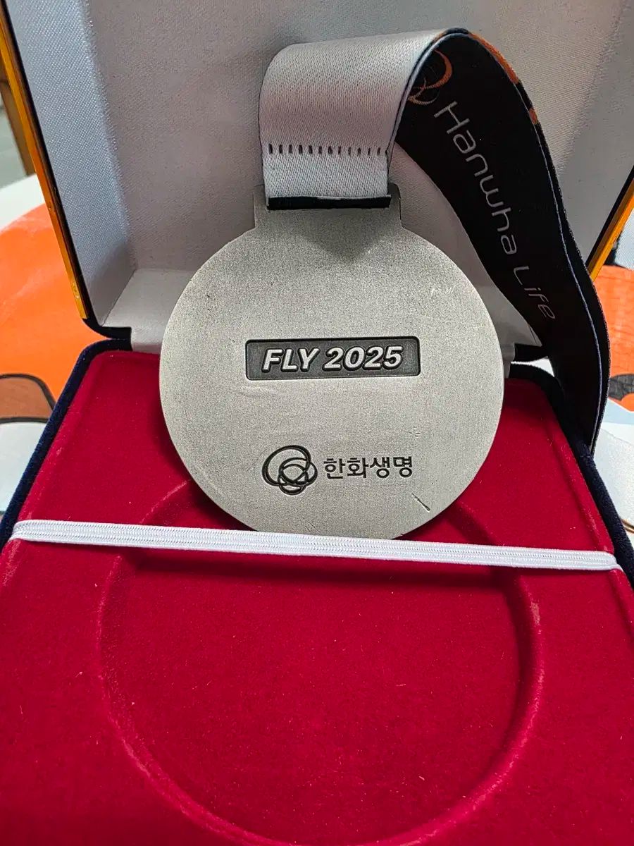  ハンファ イーグルス メダル ペンダント タポリンバッグ 記念グッズ 野球