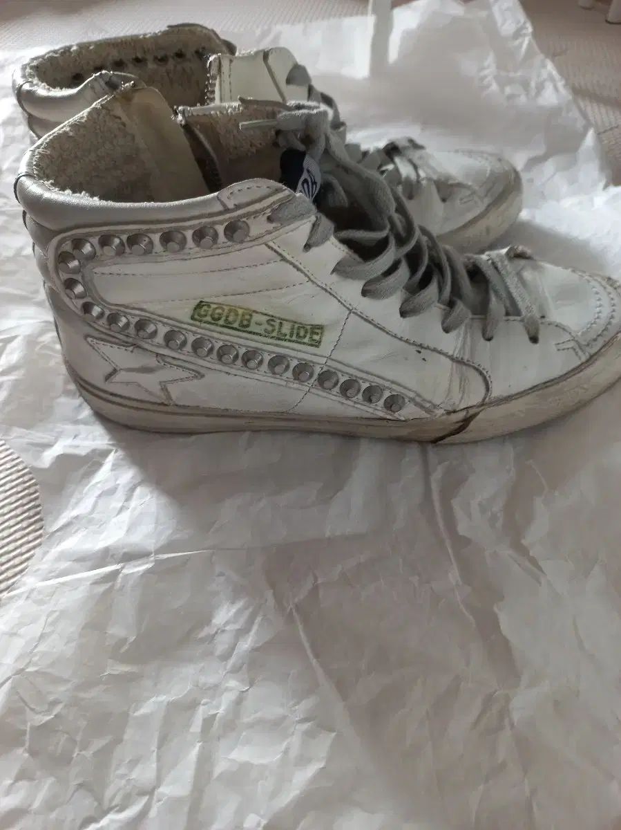 ゴールデングース ハイトップ 37