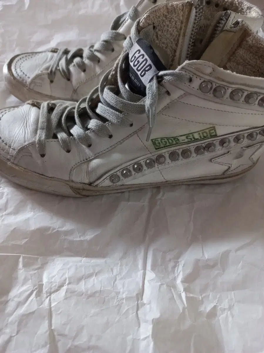 ゴールデングース ハイトップ 37