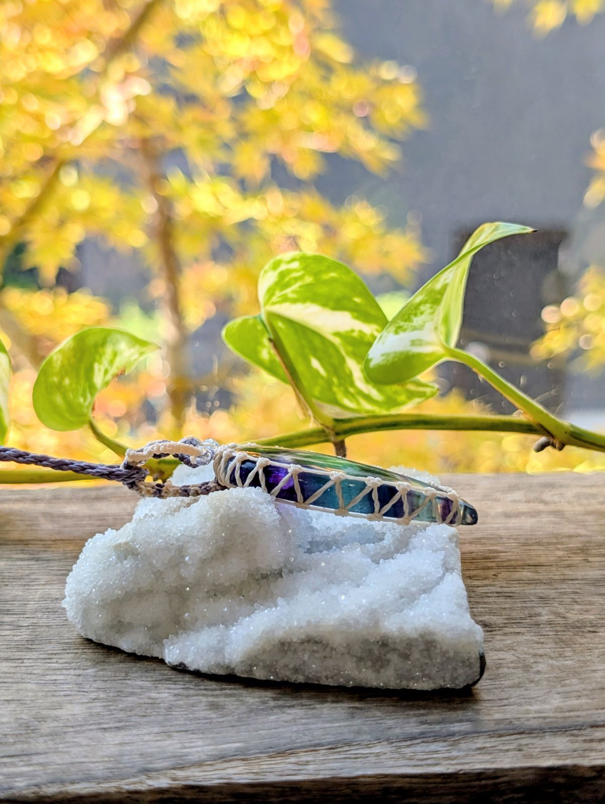 マルチ フローライト