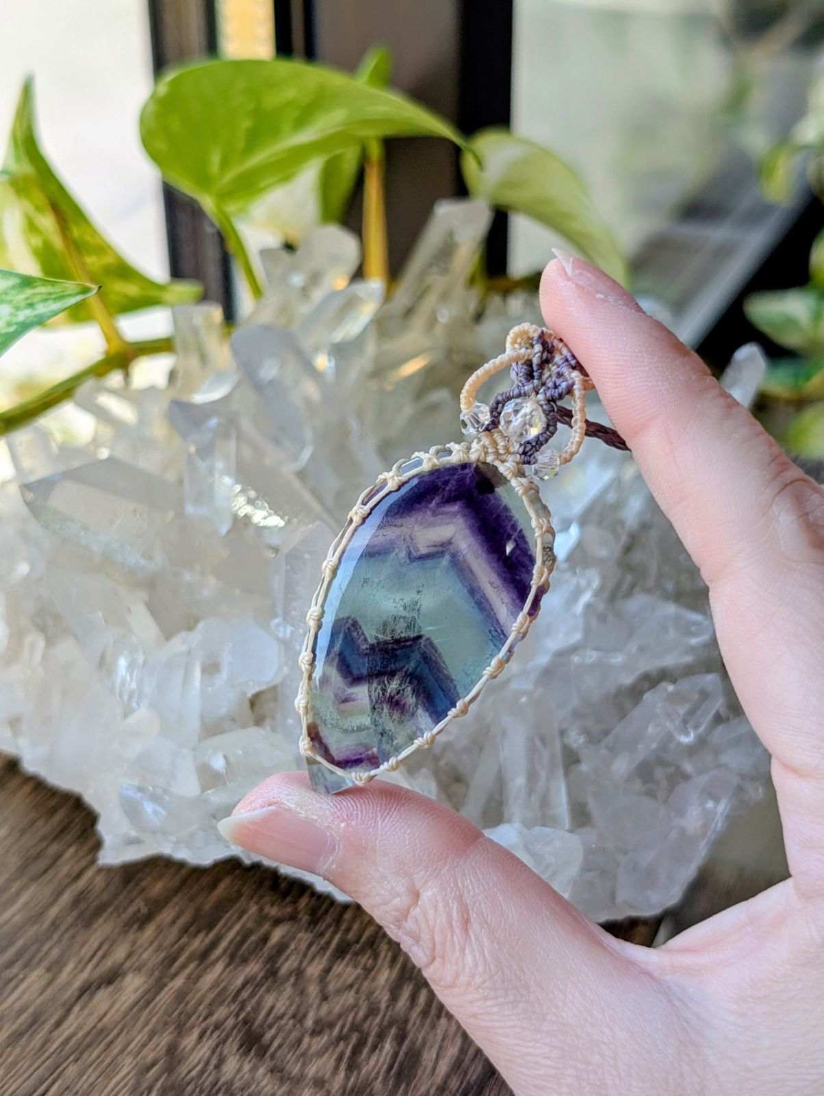 デンドリ入り 特大