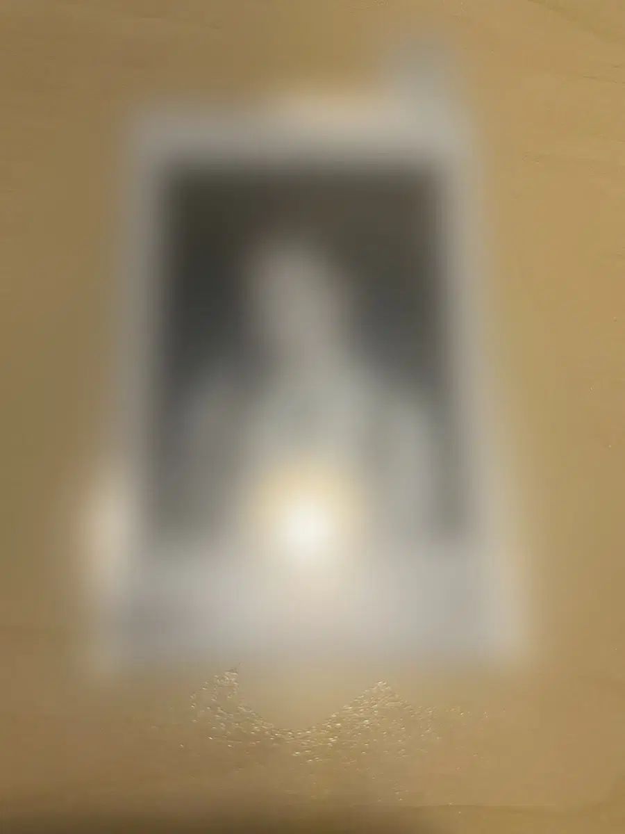 シグネチャー ドヒ サイン チェキ ポラロイド タートルネック