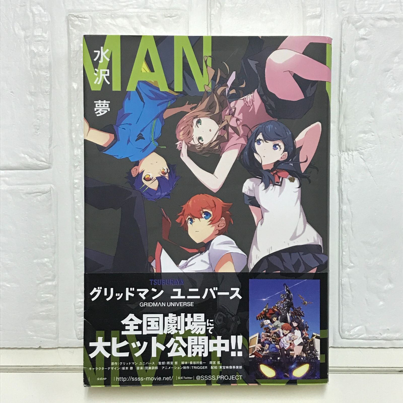 グリッドマン ユニバース (ガガガブックス) 水沢 夢? bun150; SSSS