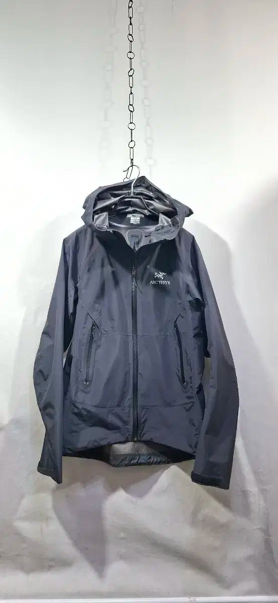 66 ARC TERYX ゴアテックス ジャケット レディース 登山ウェア