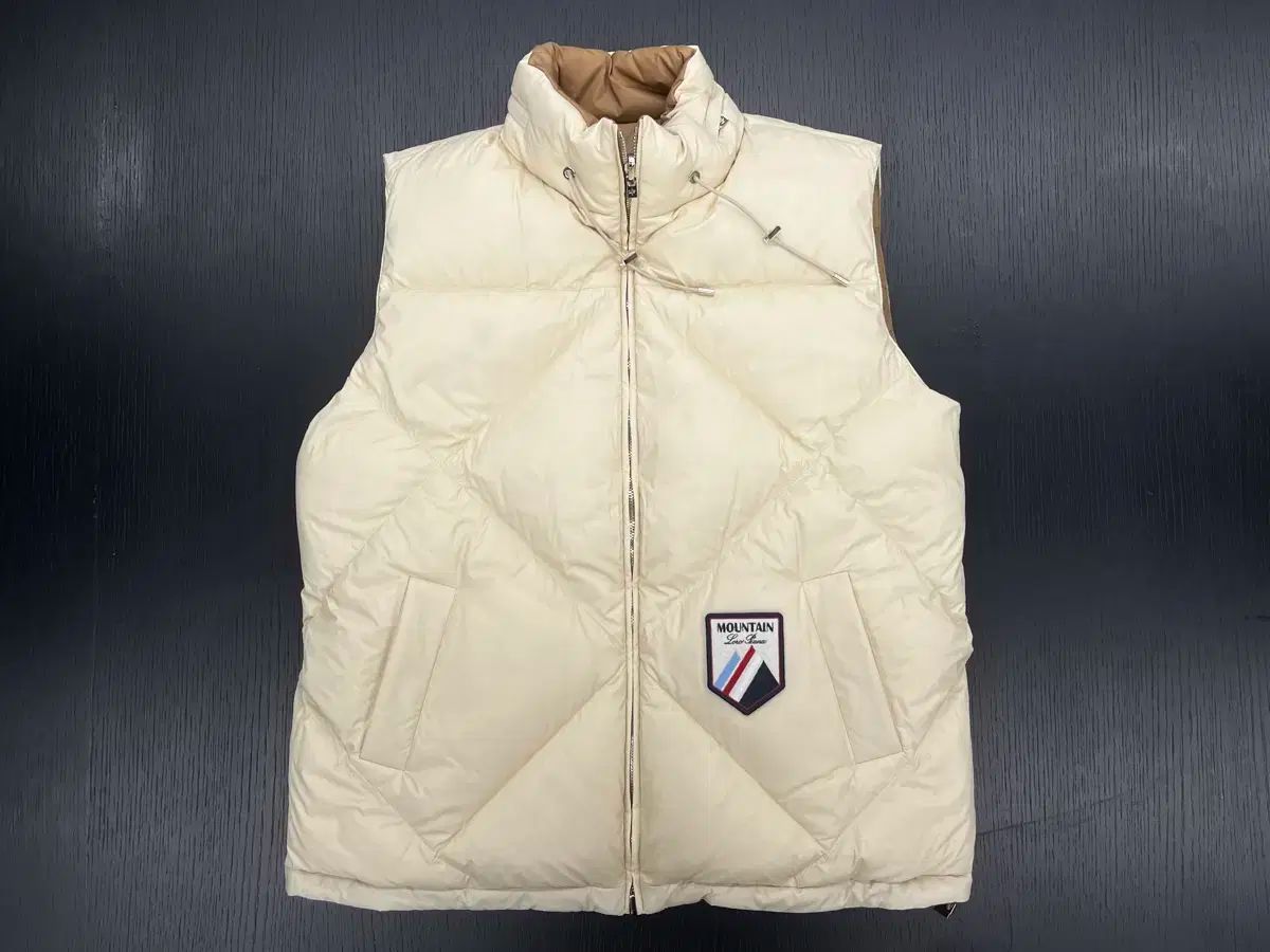 ロロ ピアーナ リバーシブル グースダウン ベスト M 100-105