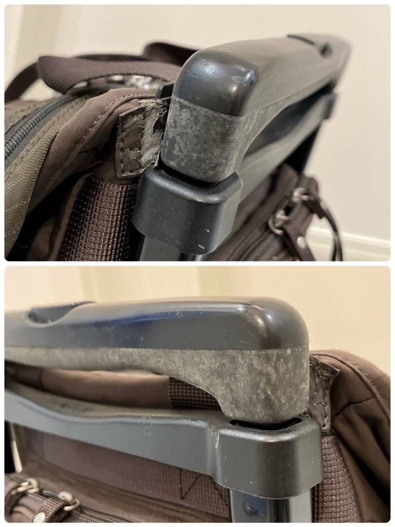 スワニー ブラウン