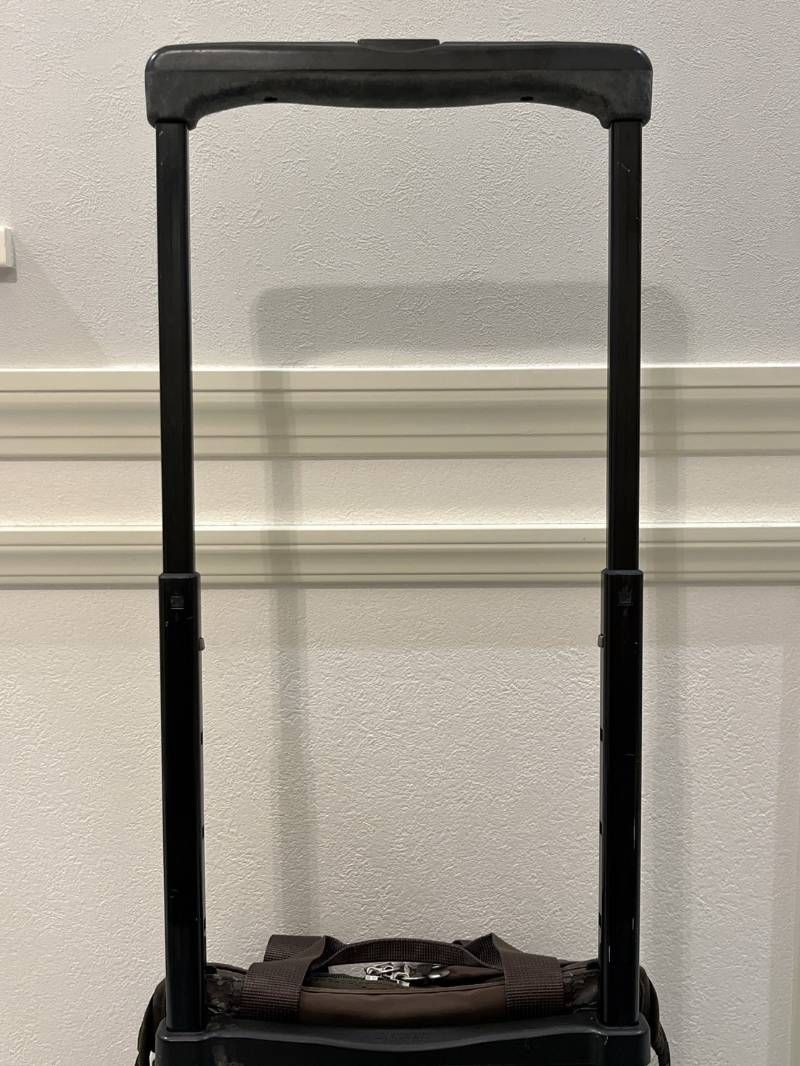 スワニー ブラウン