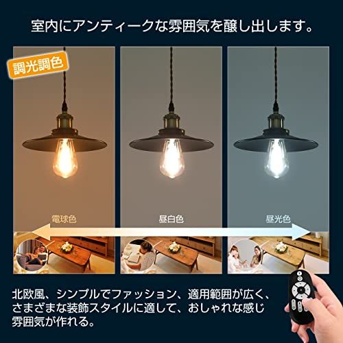 直径22cm 吊り下げライト