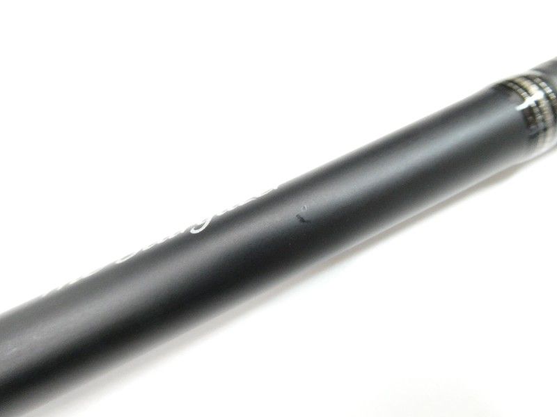 スターゲイザー