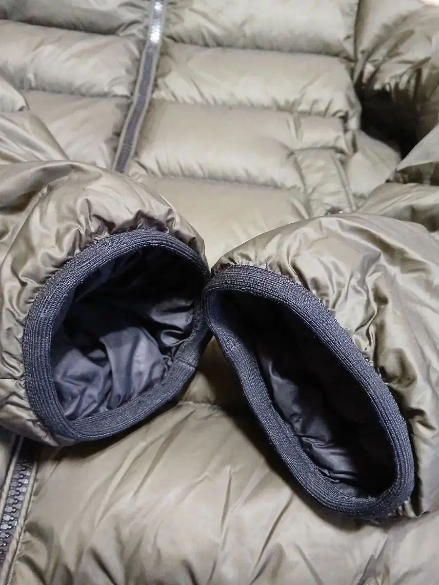 オリーブ キッズ