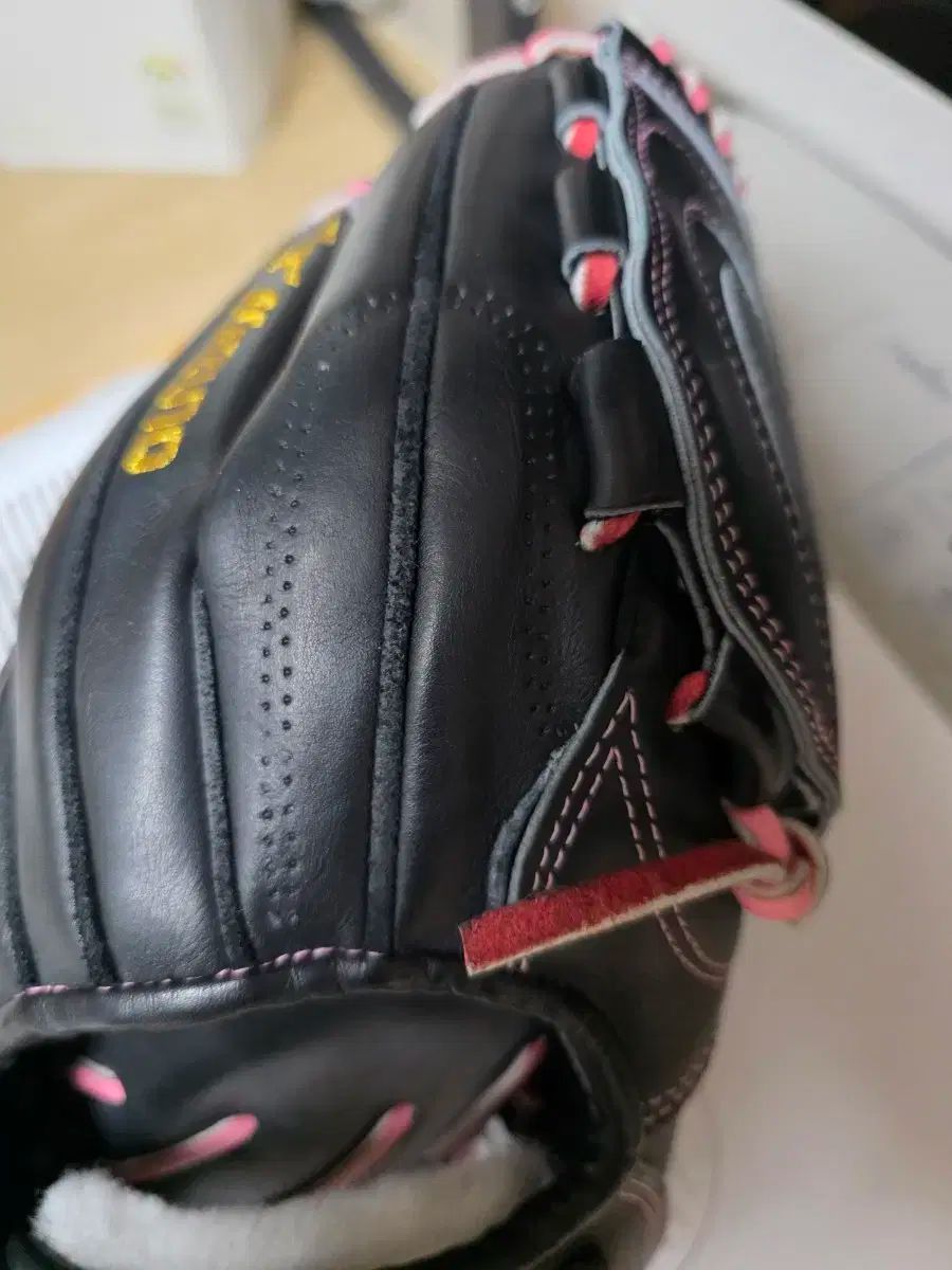 ミズノプロ 迷 Me 찬 ディノ モデル