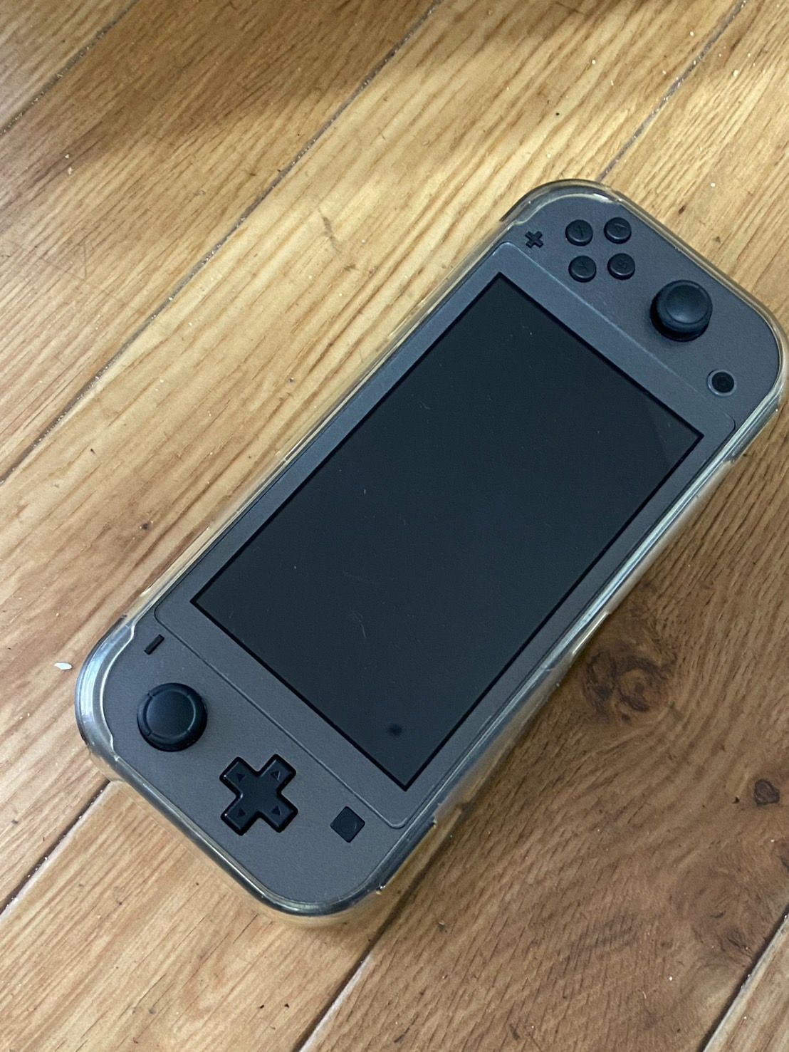 任天堂 Nintendo Switch Lite 本体 ポケモン ディアルガ パルキア HDH-001 通電 済み ゲーム機 yn100801