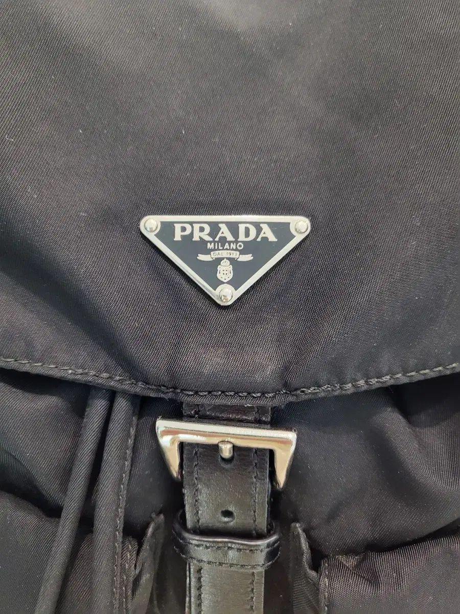 ブラック ポコノ