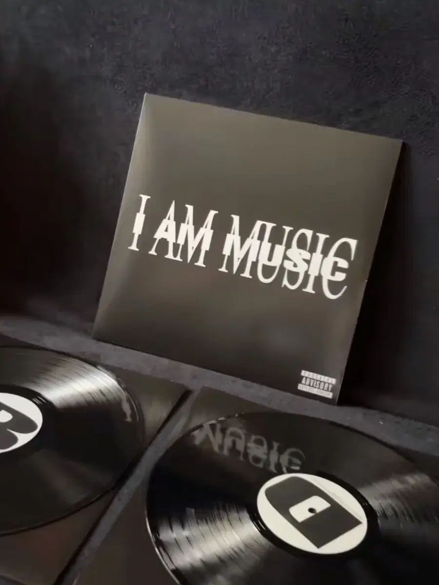 プレイボーイ カティ MUSIC LP その他 楽器 機材 ホビー 楽器 アート