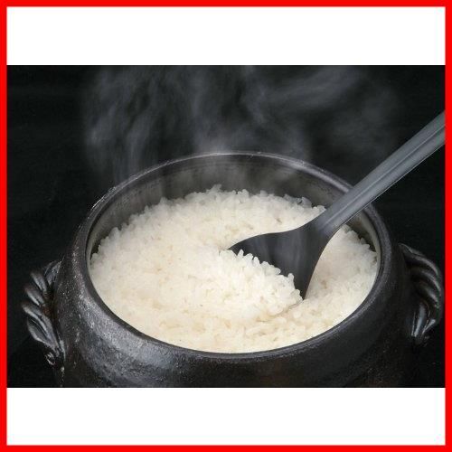 新着商品 四日市 5合炊き ご飯土鍋 万古焼 ごはん鍋 ブラウン 三鈴陶器