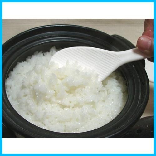 商品 四日市ばんこ焼 二重蓋 本格派 2合炊き 2合炊 ごはん鍋 ふっくら