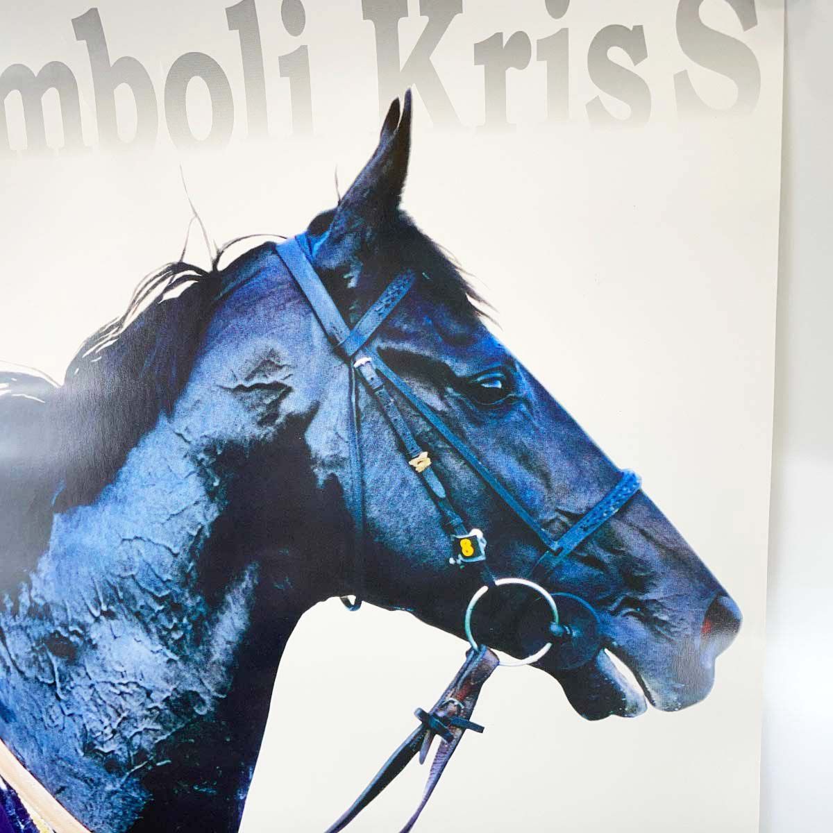 JRAヒーロー列伝 No.55 シンボリクリスエス JRA ヒーロー列伝ポスター NO.55 シンボリクリスエス 第126回 天皇賞