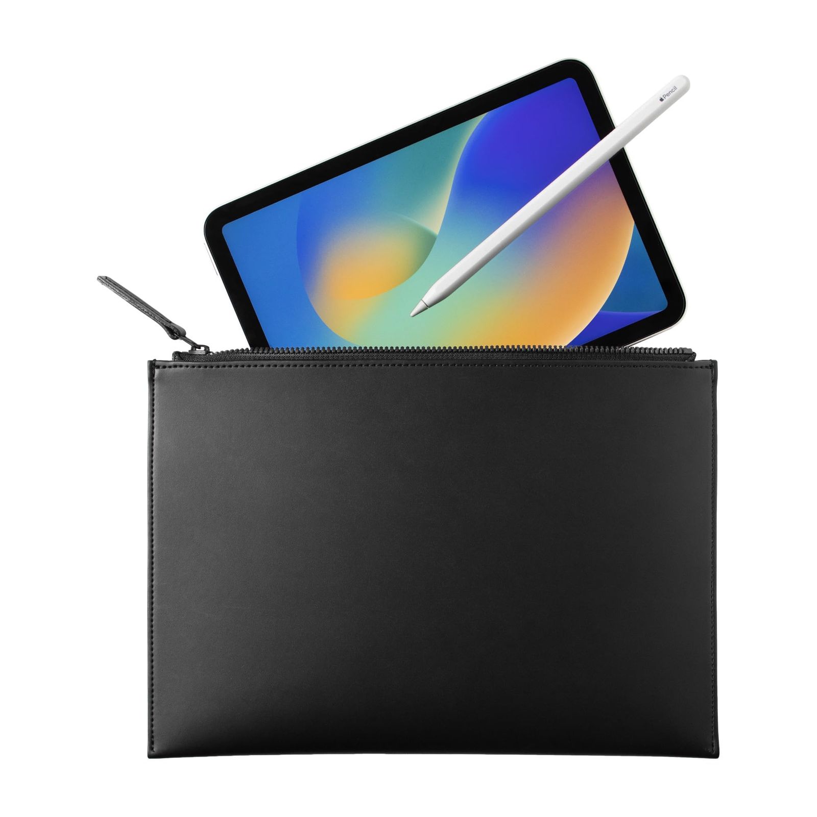 aso Layer Pouch mini 2 レイヤーポーチ ミニ 2 iPad mini ポーチ Apple Pencil キーボード 収納 タブレットポーチ iPad mini 対応 ブラック lp-v179-bl-s2025