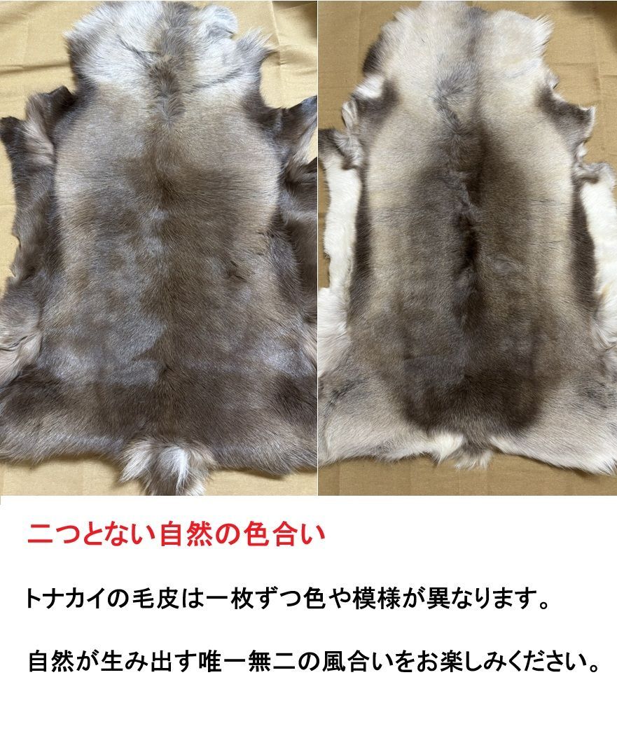 フィンランド直輸入