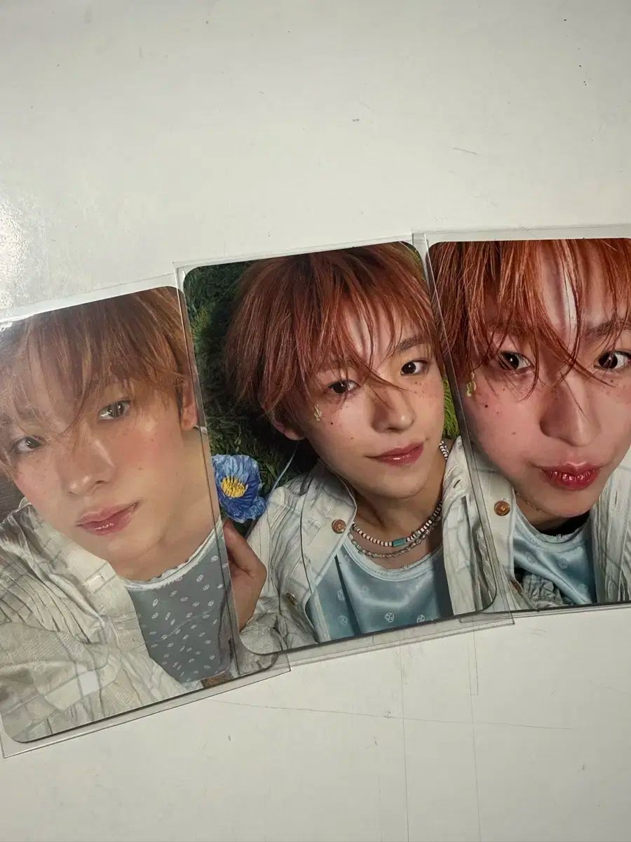 BIRD 結 YOU まとめ 日本版 アルバム トレカ