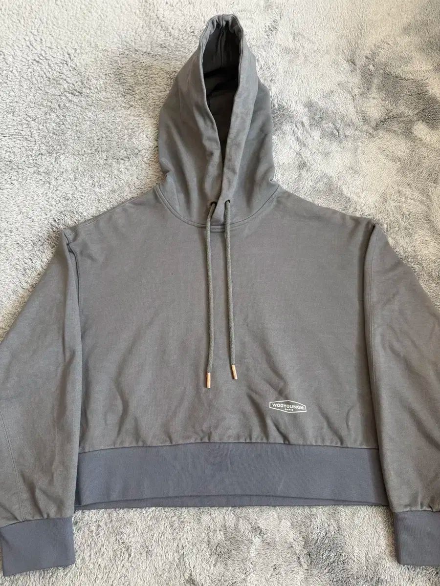 WOOYOUNGMI 21F W グレー バックロゴ フーディーTシャツ 38 95
