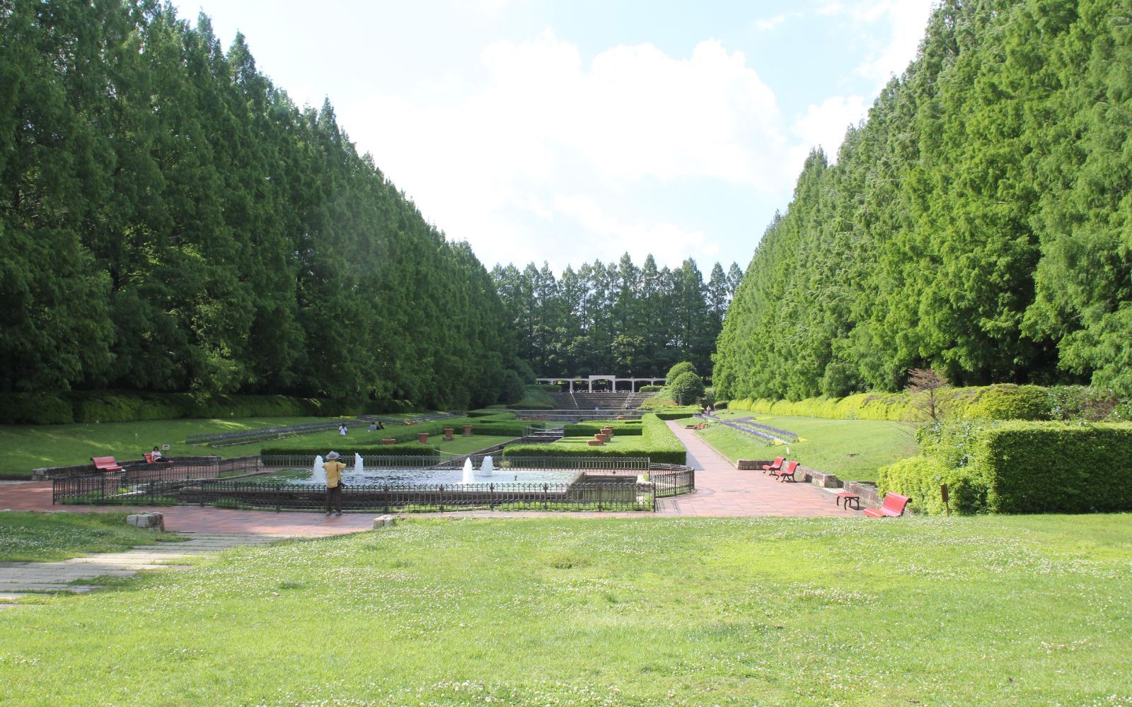 Canon EF20mm F2.8 USM広角固定焦点レンズ 動作 済み 風景やイベント会場などの撮影に不可欠 ref 4090