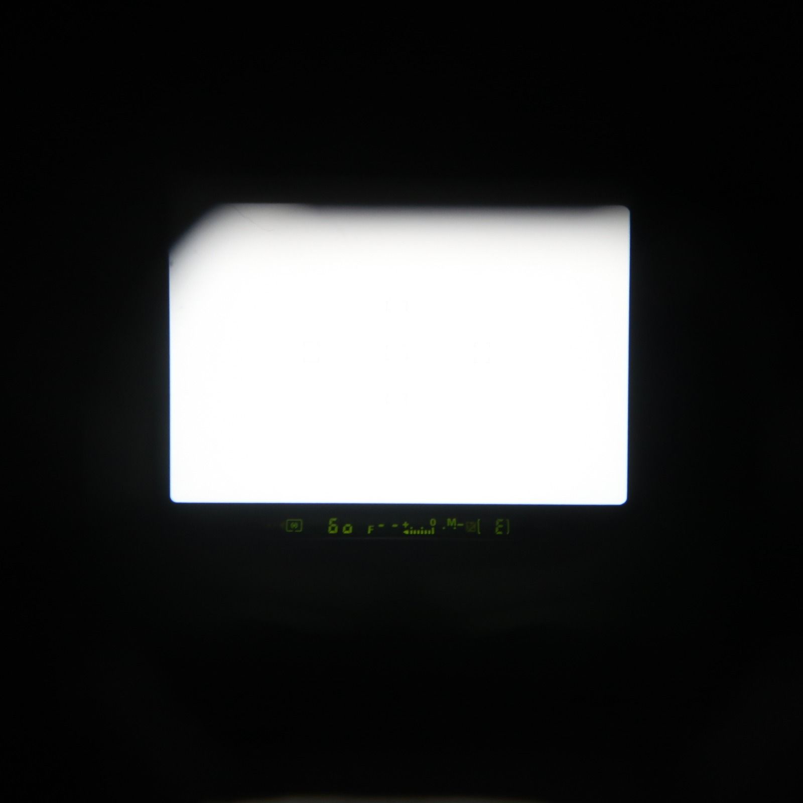 フィルムカメラ